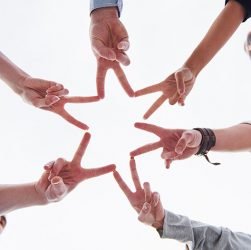 Importance of trust in the organizations