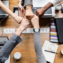 Factors that contribute to the success of a startup