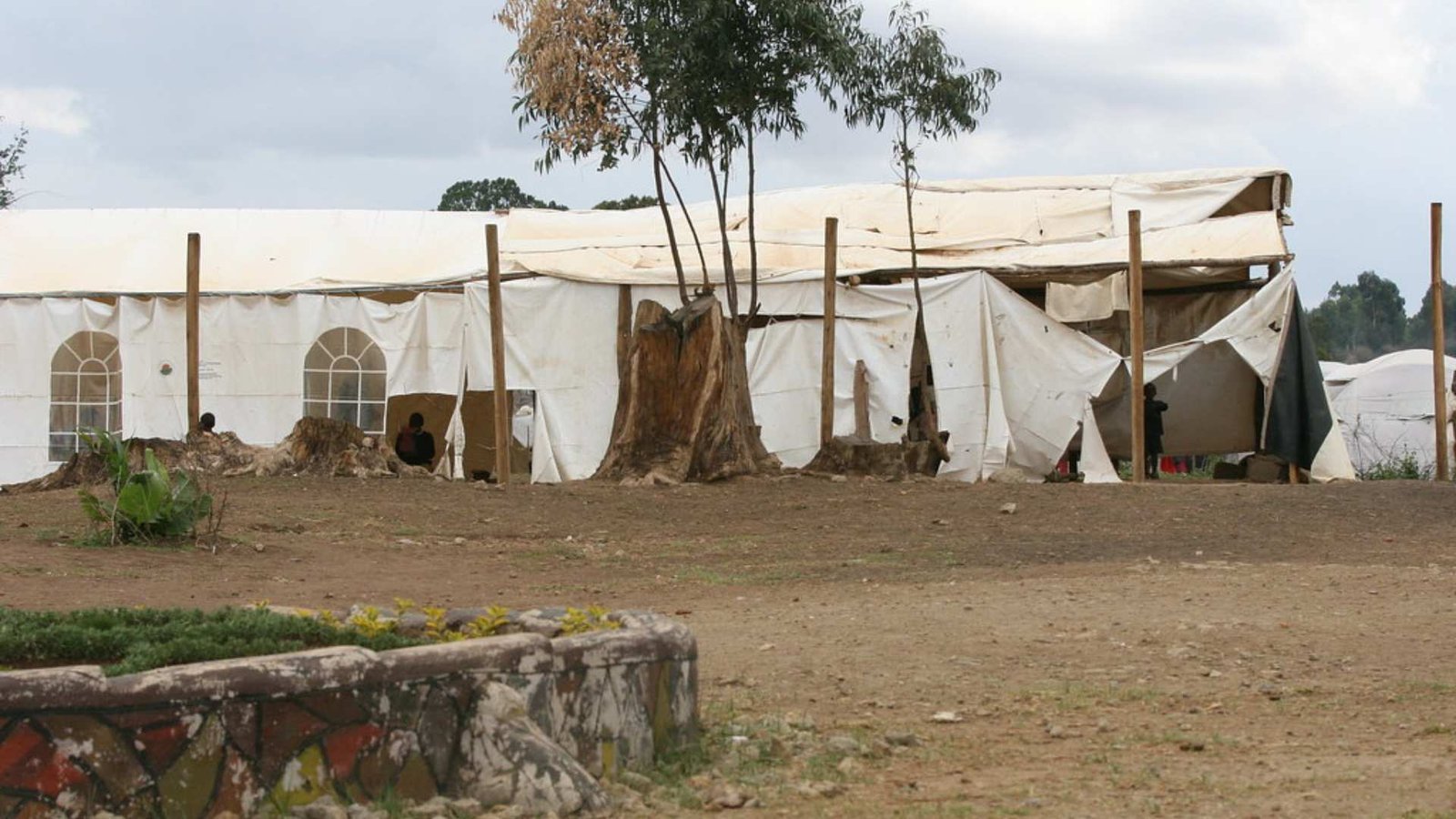 Sharjah’s The Big Heart Foundation