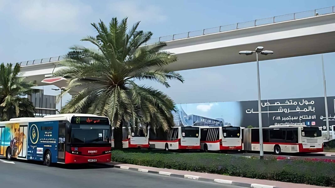 Intercity Bus Services