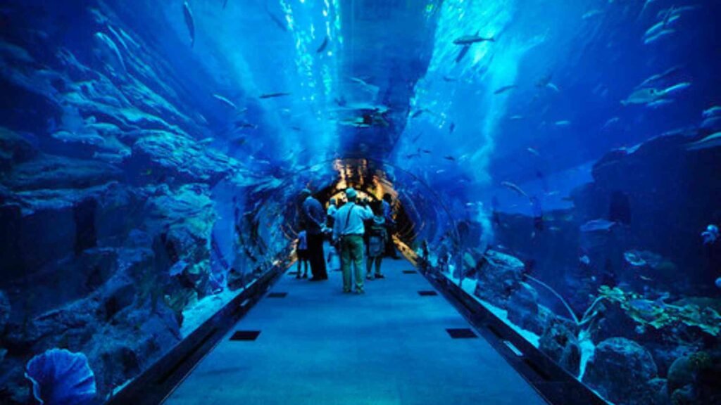 Dubai Aquarium