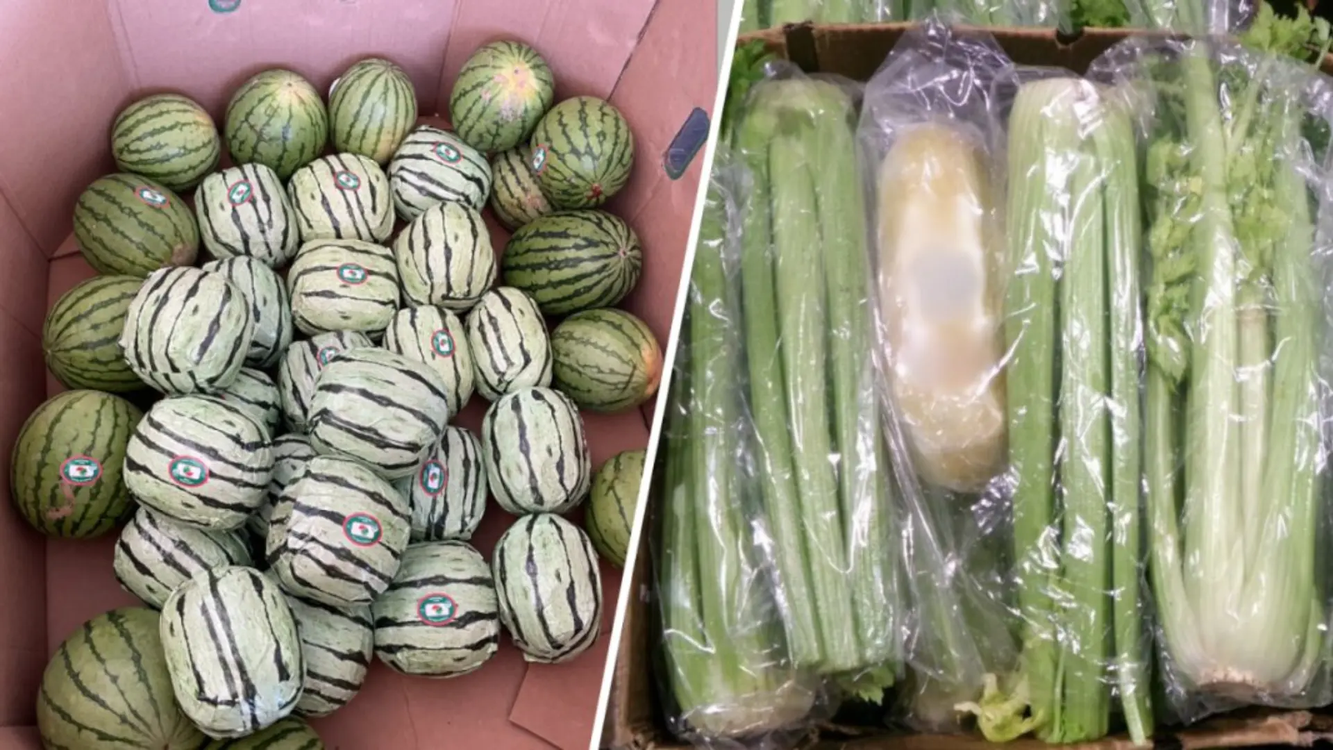 Meth Bust in California