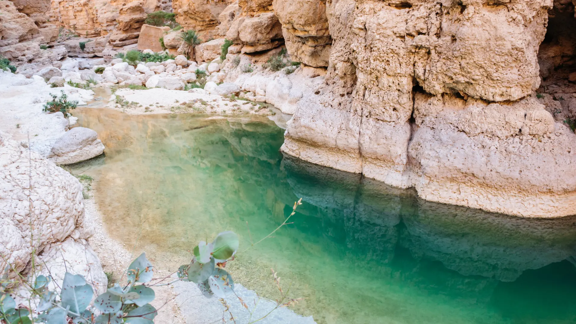 Oman Wadi Qasha