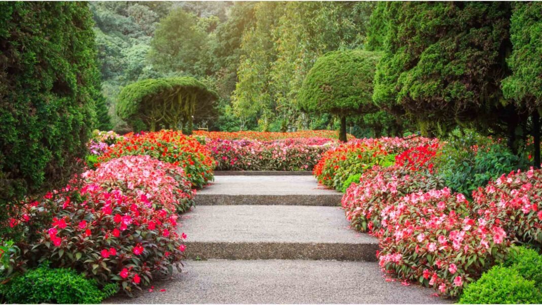 flower garden