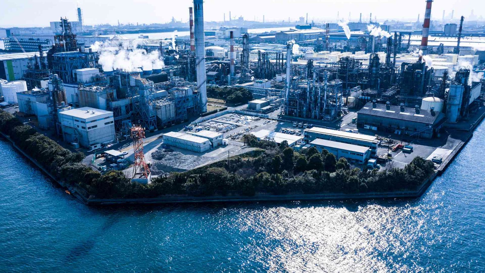 Economic Diversification