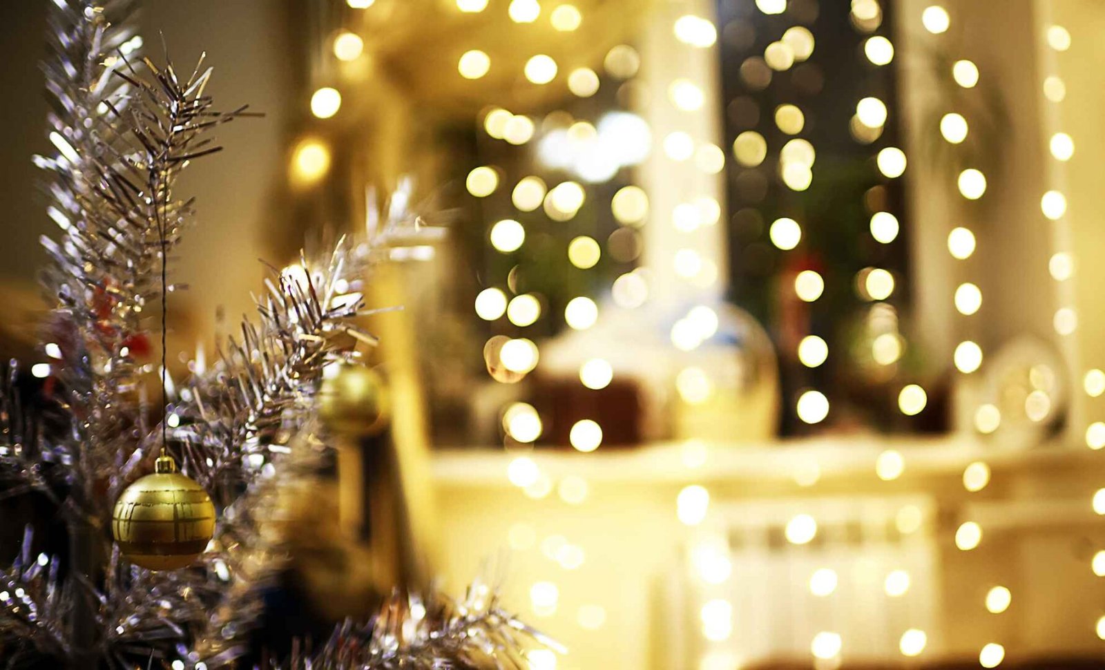 Exciting New Year Holiday