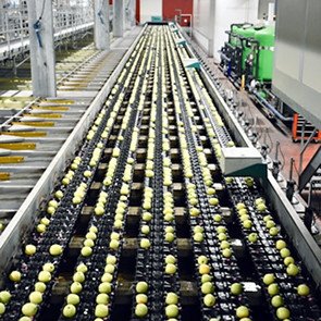 Manufacturing and logistic