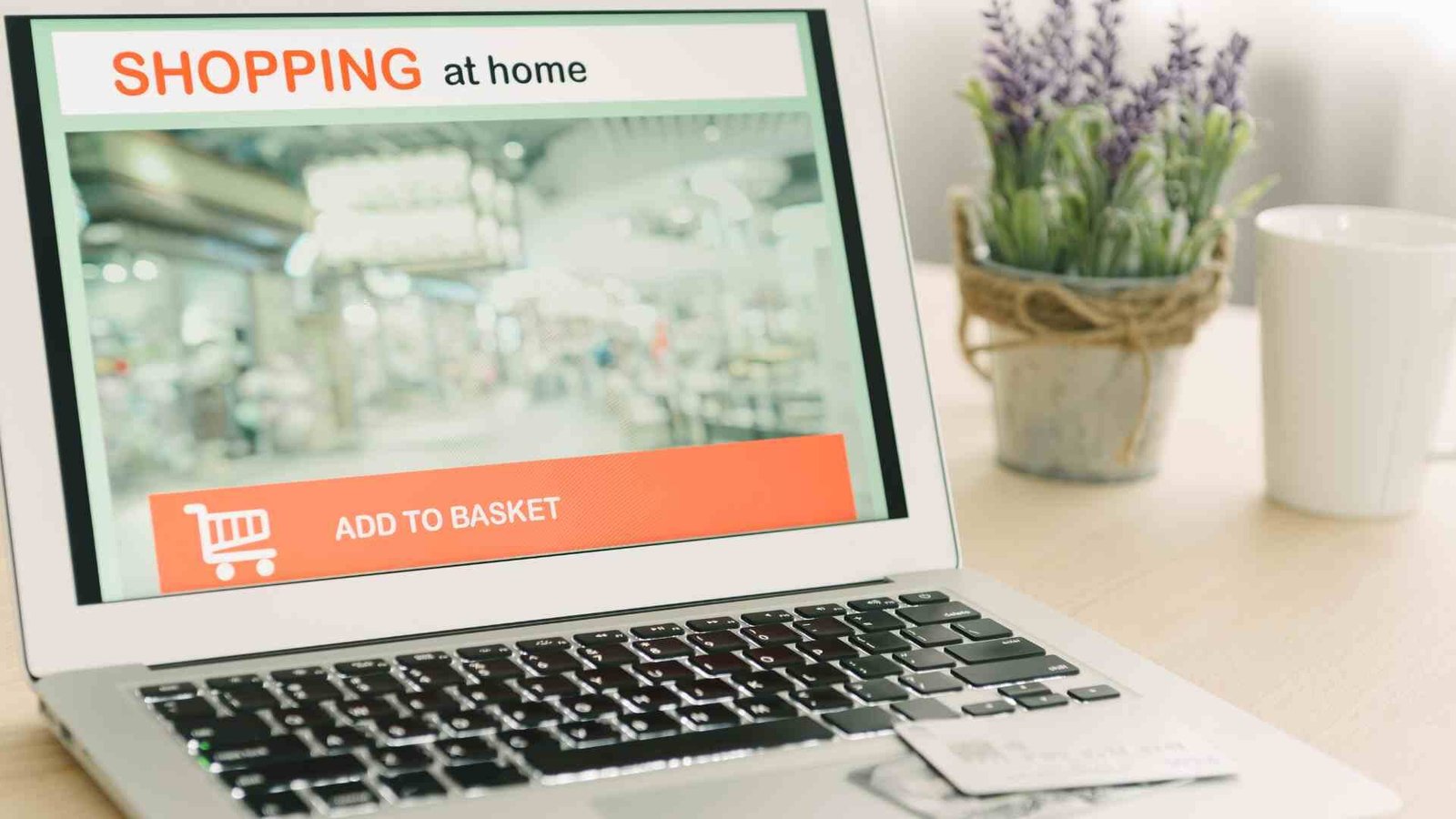 Bolo.ae- UAE Shoppers