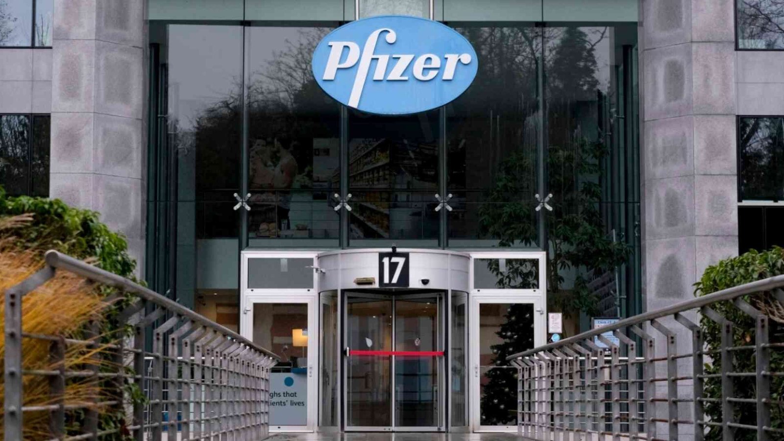 Pfizer Metsera acquisition