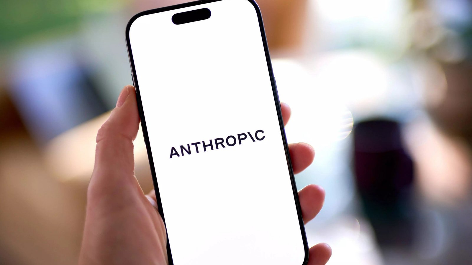 MGX Anthropic Investment